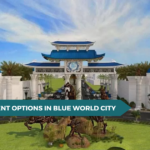 Best Investment Options in Blue World City