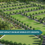 Foreign Investment Impact on Blue World City Growth