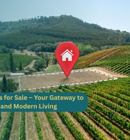 4 and 6 Marla Plots for Sale – Your Gateway to Smart Investment and Modern Living