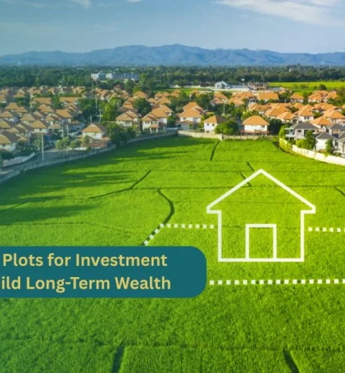 Cheap Residential Plots for Investment A Smart Way to Build Long-Term Wealth